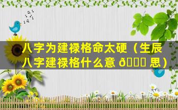 八字为建禄格命太硬（生辰八字建禄格什么意 🐕 思）